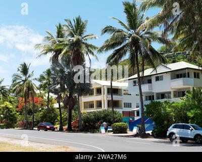 Vista delle belle case, appartamenti e palme alla fine di Macrossan Street vicino a Four Mile Beach a Port Douglas, Queensland, Australia Foto Stock