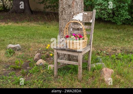 Una sedia decorativa e un cestino al Corn and Apple Festival, Morden, Manitoba, Canada. Foto Stock