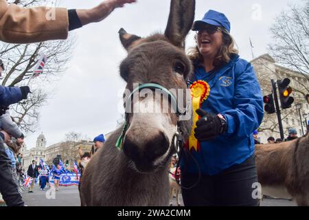 Londra, Regno Unito. 1 gennaio 2024. I membri della Donkey Breed Society partecipano alla London New Year's Day Parade 2024 a Whitehall. Credito: Vuk Valcic/Alamy Live News Foto Stock