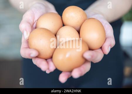 Le mani di una donna tengono molte uova di gallina fresche da vicino. Il processo di preparazione di una omelette o di uova bollite. Foto Stock