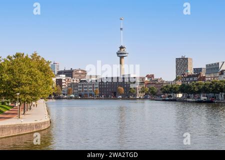 Coolhaven con vista sull'Euromast nella città portuale di Rotterdam. Foto Stock
