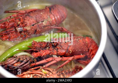 Aragoste da cucina, aragoste sono una famiglia di Nephropidae, Homaridae di crostacei marini, con corpi lunghi e code muscolari e vivono sul fondo marino, 3 Foto Stock