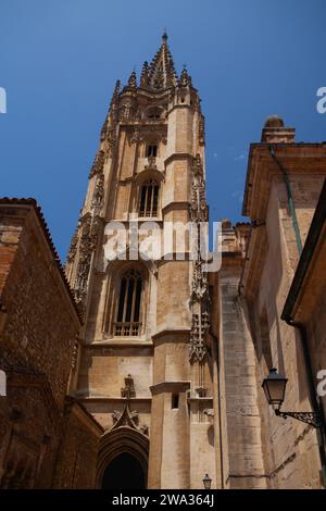 Particolare della Cattedrale di Oviedo nelle Asturie di Spagna Foto Stock