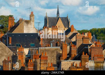Francia, Loiret (45), Orleans, vista dai tetti del centro storico della città e dai suoi numerosi camini antichi Foto Stock