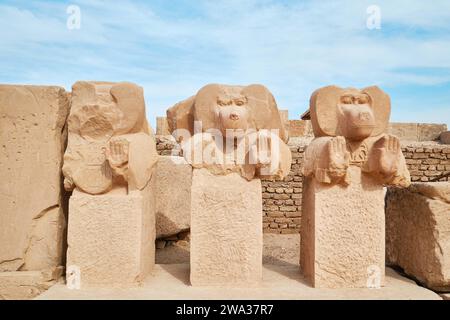 Luxor, Egitto - dicembre 26 2023: Statue di Baboon a Ramesseum, Necropoli di Tebe Foto Stock