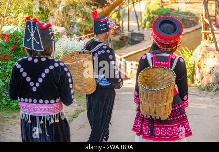 2023 febbraio - Chiang Rai - Tailandia - cuccioli locali con cestini sulla schiena e vestiti con costumi tradizionali vanno a fare shopping. Foto Stock