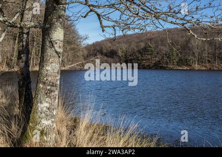 Etang de Lachamp en hiver Foto Stock