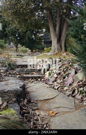 Gradini di pietra su un sentiero disseminato di foglie attraverso un parco cittadino in inverno Foto Stock