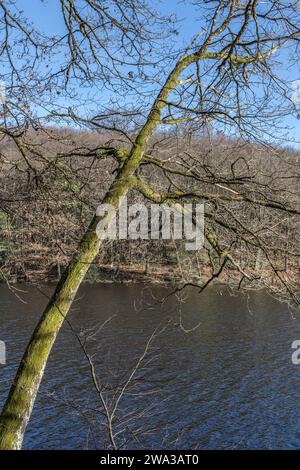 Etang de Lachamp en hiver Foto Stock