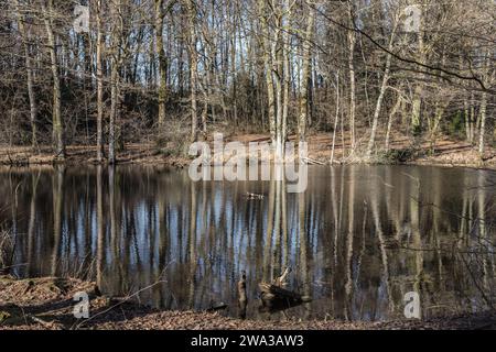 Etang de Lachamp en hiver Foto Stock