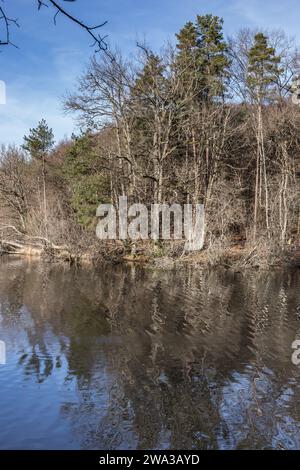 Etang de Lachamp en hiver Foto Stock