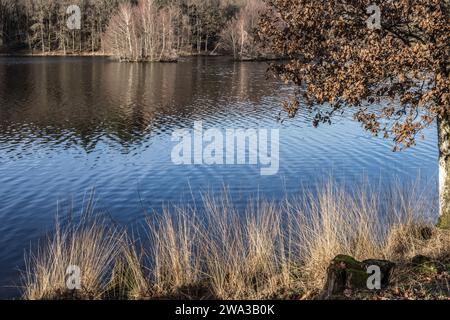 Etang de Lachamp en hiver Foto Stock