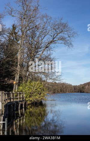 Etang de Lachamp en hiver Foto Stock