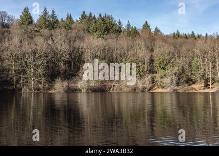 Etang de Lachamp en hiver Foto Stock