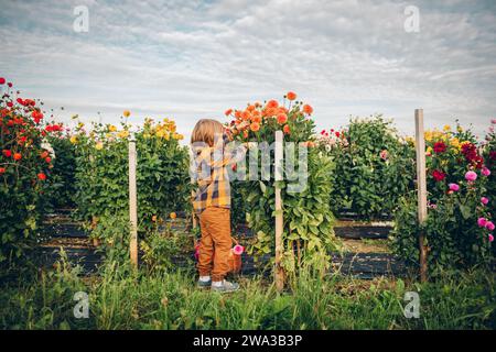 Simpatico bambino che lavora nel giardino autunnale, bambino che si prende cura del crisantemo colorato e dei fiori di dahlia, giardiniere che si gode una giornata calda e soleggiata Foto Stock