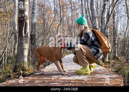 Donna di mezza età che mette il collare sul cane da caccia seduto vicino a un sentiero di legno nel parco autunnale. Foto Stock