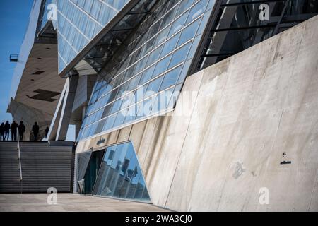 LIONE, FRANCIA, 10 aprile 2022 : Musee des Confluences. Il Musee des Confluences si trova alla confluenza del Rodano e del Saone. Foto Stock