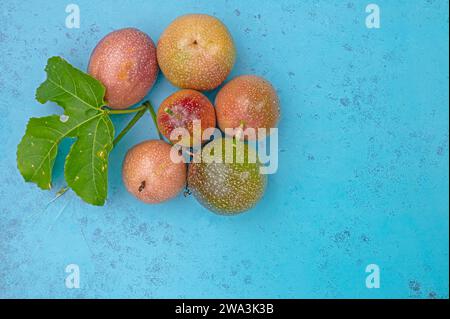Bacche di passiflora fresche e biologiche su sfondo blu. Foto Stock