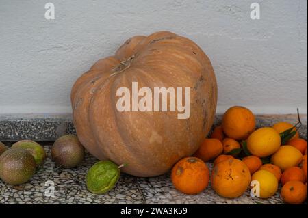 Zucca, passiflora, mandarino, limone e arancia su terreno di cemento. Foto Stock