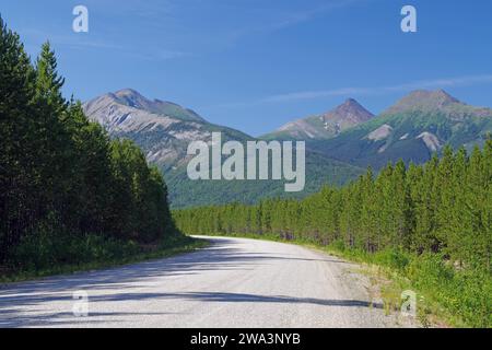 La strada stretta e priva di traffico conduce attraverso la foresta e l'impressionante paesaggio montano, la Stewart Cassiar Highway, British Columbia, Canada, Nord America Foto Stock