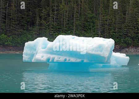 Un piccolo pezzo di ghiaccio proveniente da un ghiacciaio che si allunga nel mare, Tracy Arm Fiord, Tongass National Forest, Juneau, Inside Passage, Alaska, USA, Nord America Foto Stock