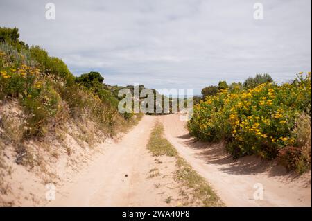 Pista di Stoney RIS, a pochi chilometri da Robe, Australia meridionale. Foto Stock