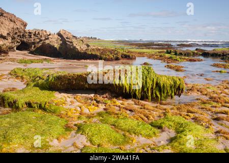 La spiaggia di Stoney Rise si trova a pochi chilometri da Robe, Australia meridionale. Foto Stock