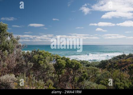 Piccolo parco di conservazione per immersioni a pochi chilometri da Robe, Australia meridionale. Foto Stock