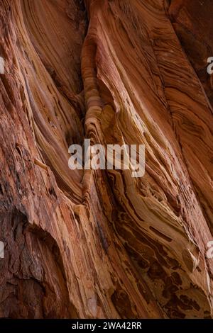 Una scogliera di arenaria erosa nel tempo per creare un vorticoso modello di strati nel Parco Nazionale di Zion, Utah. Foto Stock