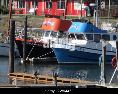 Variopinte barche da pesca locali attraccate nel porticciolo di Ilwaco, Washington USA Foto Stock