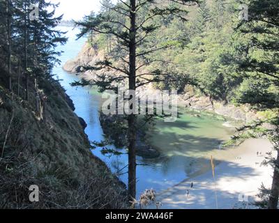 La spiaggia nella baia di Beard's Hollow lungo la costa di Washington. Foto Stock