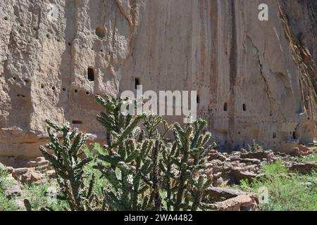 Le Puye Cliff Dwellings sono le rovine di un pueblo abbandonato, sulla riserva di Santa Clara Pueblo vicino a Española, nuovo Messico. Foto Stock