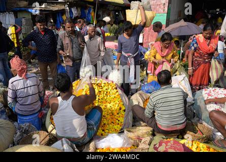 IND , INDIEN : Blumenhaendler und Kunden auf dem Mallick Ghat Blumenmarkt in Kalkutta / Calcutta , 12.12.2023 IND , INDIA : Vendors and customers on Mullik Ghat Flower Market in Calcutta / Calcutta , 12.12.2023 *** IND , fornitori e clienti INDIANI sul mercato dei fiori di Mallick Ghat a Calcutta Kolkata , 12 12 2023 IND , fornitori e clienti INDIANI sul mercato dei fiori di Mullik Ghat a Calcutta Kolkata , 12 12 2023 Foto Stock