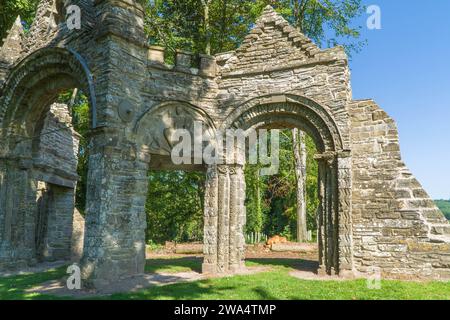 Shobdon aches consistenti in arco di cella e porta con timpano di Cristo in Maestà da una chiesa normanna originale risalente al c1135, Shobdon He Foto Stock