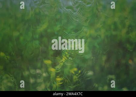 Gocce di pioggia sulla finestra in un giorno di pioggia. Vista dalla casa. Concetto di fondo natura. Foto Stock