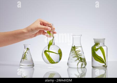 Le fiasche da laboratorio contenenti diversi campioni di alghe marine vengono posizionate su uno sfondo bianco retroilluminato. La mano femminile sta sollevando un vaso tra di loro. Scen Foto Stock