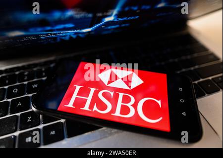 Polonia. 2 gennaio 2024. In questa immagine, un logo HSBC visualizzato su uno smartphone. Credito: SOPA Images Limited/Alamy Live News Foto Stock