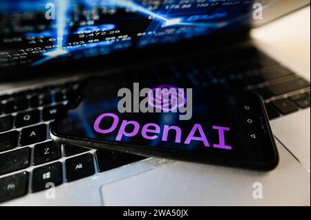 Polonia. 2 gennaio 2024. In questa immagine, un logo OpenAI visualizzato su uno smartphone. (Foto di Omar Marques/SOPA Images/Sipa USA) **** esclusivamente a scopo editoriale *** credito: SIPA USA/Alamy Live News Foto Stock
