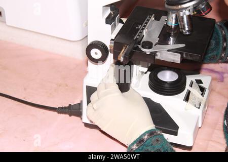 Lady patologa che sta esaminando con il microscopio. India Foto Stock