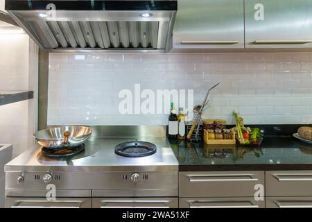 Foto interna di una cucina moderna. Con un'elegante stufa, un lavandino elegante e una sofisticata cappa di scarico, questo spazio incarna la fusione perfetta Foto Stock