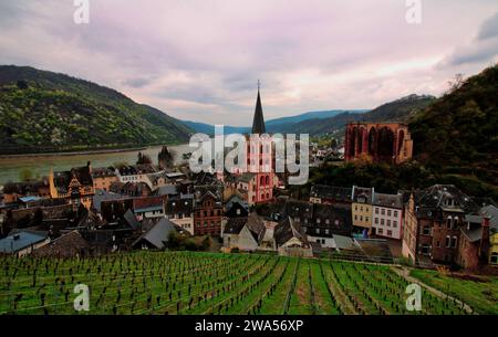 Vista su Bacharach e sul Reno Foto Stock