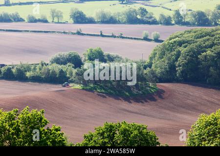 Un campo arato da un trattore, visto da Chase End Hill, Herefordshire, Regno Unito Foto Stock