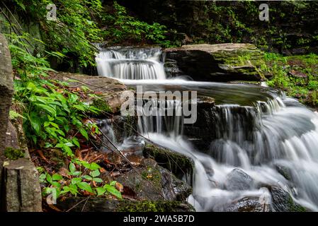 Cascate Gentle Cayuga in estate Foto Stock