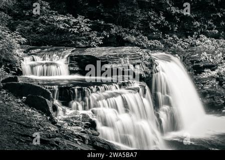 Black and White Cayuga Falls Foto Stock