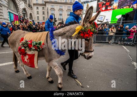 Londra, Regno Unito. 1 gennaio 2024. Marching Band Donkey Breed Society - la parata di Capodanno di Londra segna l'inizio del nuovo anno, 2024. Crediti: Guy Bell/Alamy Live News Foto Stock