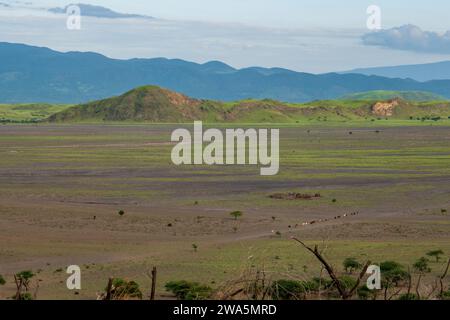 Vista delle formazioni rocciose vulcaniche nella Rift Valley vista dal monte Ol Doinyo Lengai in Tanzania Foto Stock