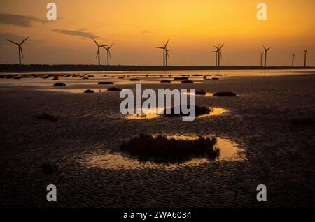 Taichung, Cina. 2 gennaio 2024. I visitatori potranno godersi il tranquillo tramonto alle Gaomei Wetlands a Taichung, Taiwan, il 02/01/2024. Le paludi, una riserva naturale di 300 ettari conosciuta per la sua biodiversità e la sua bellezza paesaggistica, offrono uno sfondo tranquillo mentre la giornata termina con turbine eoliche sagomate contro il vivace cielo da Wiktor Dabkowski Credit: dpa/Alamy Live News Foto Stock