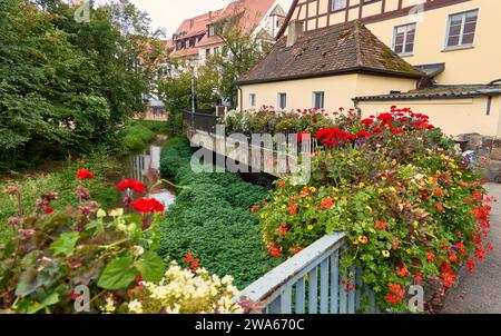 Splendida decorazione floreale sulla ringhiera del ponte nella città vecchia di Schwabach, Germania Foto Stock