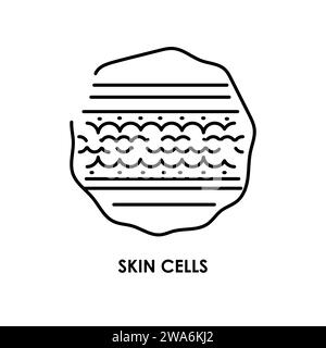 Icona della linea di colore delle cellule della pelle. Microrganismi microbi, batteri. Elemento isolato vettore. Tratto modificabile. Illustrazione Vettoriale