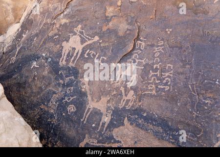 Antica arte rupestre a Jubbah nella provincia di Hail in Arabia Saudita Foto Stock